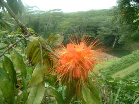 Kauai, Hawaii, USA | Une Fleur